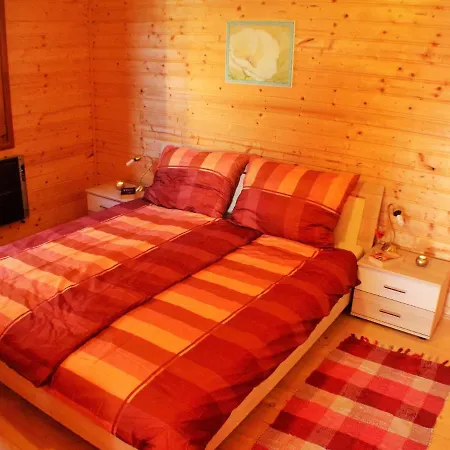 In In Carinthia Near Area شقة