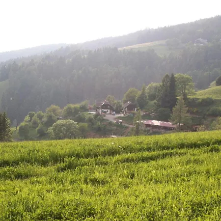 In In Carinthia Near Area *